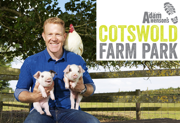 The Cotswold Farm Park