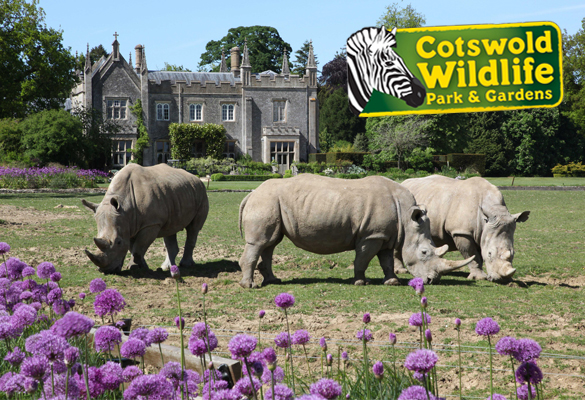 The Cotswold Wildlife Park & Gardens
