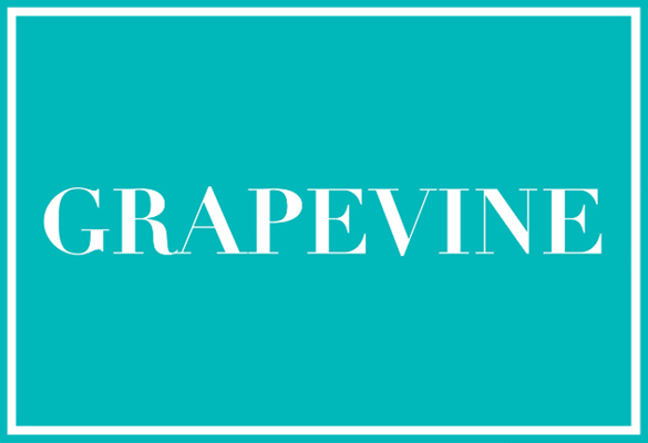 Grapevine
