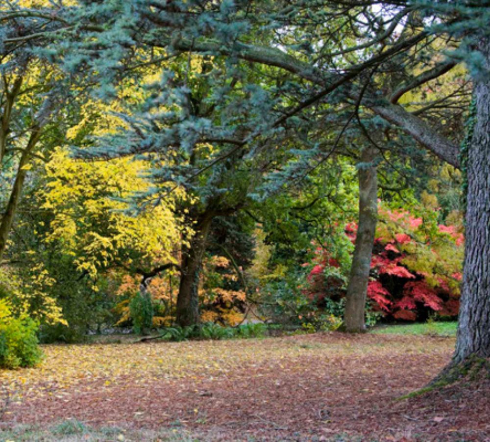 Batsford Arboretum