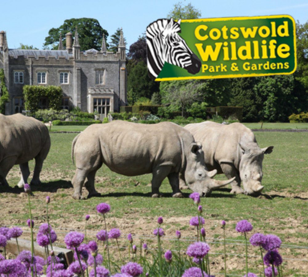 Cotswold Wildlife