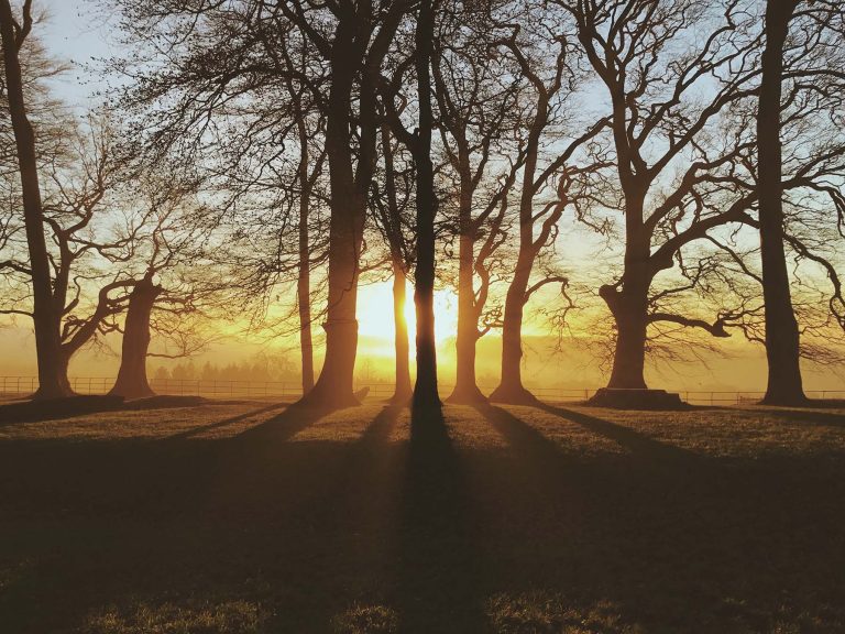 Beautiful Cotswold Sunset Through The Woods