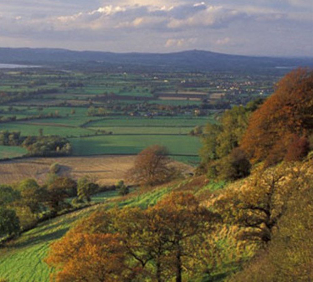 Cotswolds Countryside