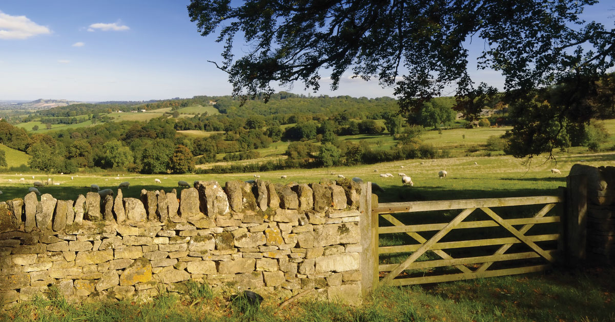 Our beautiful Cotswolds National Landscape, bucolic honey coloured stone walls and rolling fields and sheep