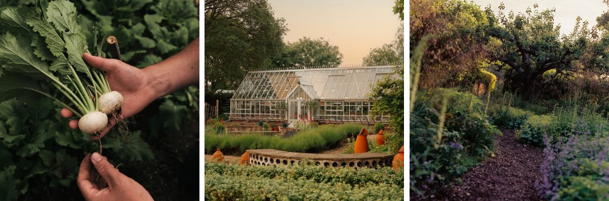 The green house and gardens at Le Manoir