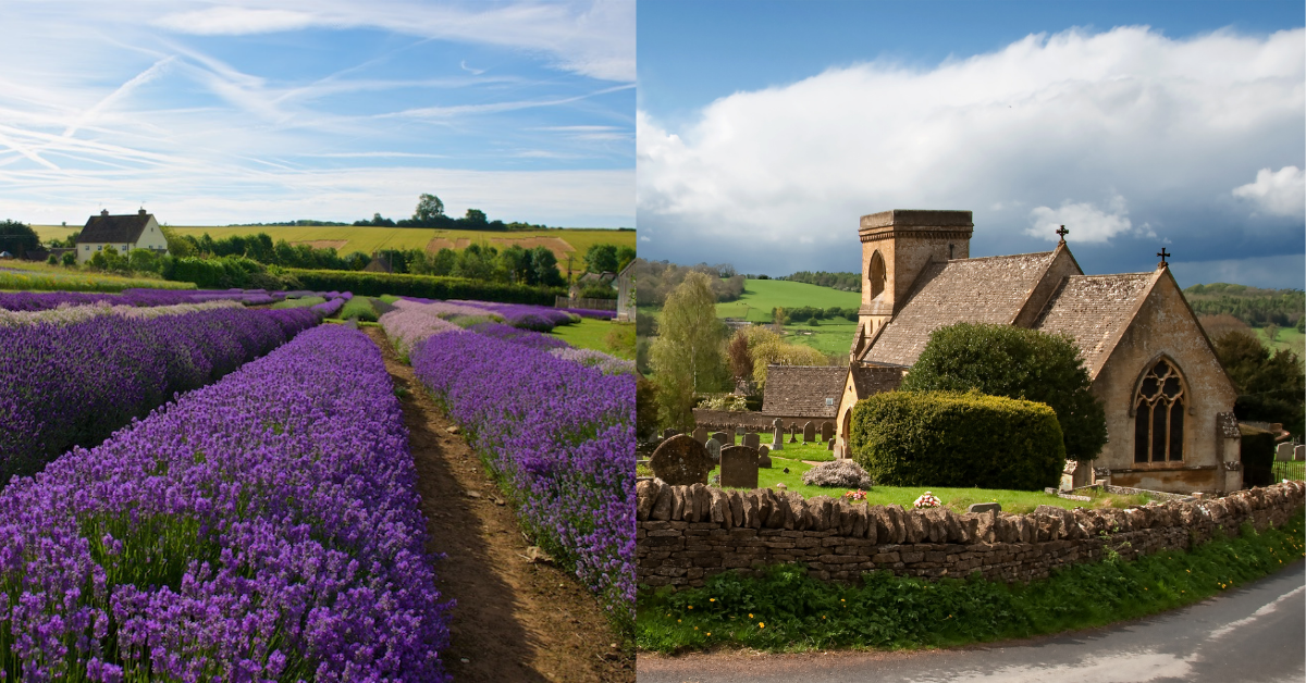 Lavender Farm and Snowshill