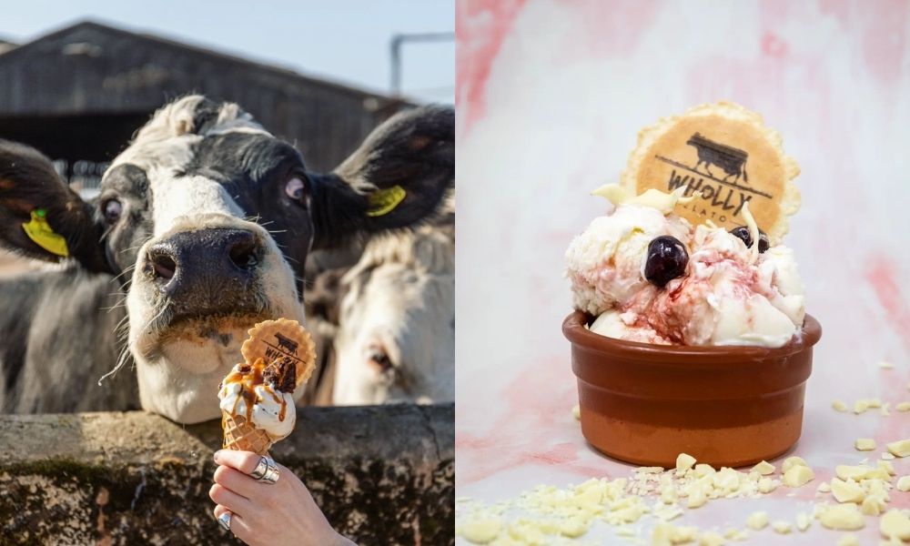 Wholly Gelato, Gloucestershire