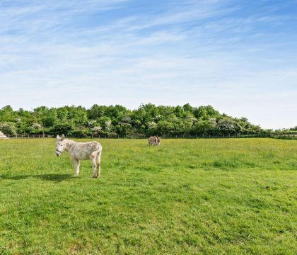 Stonelands - StayCotswold