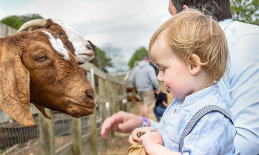 Adam Henson's Farm 