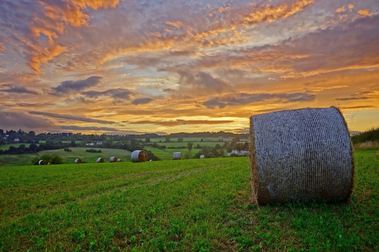 Summer Breaks in the Cotswolds