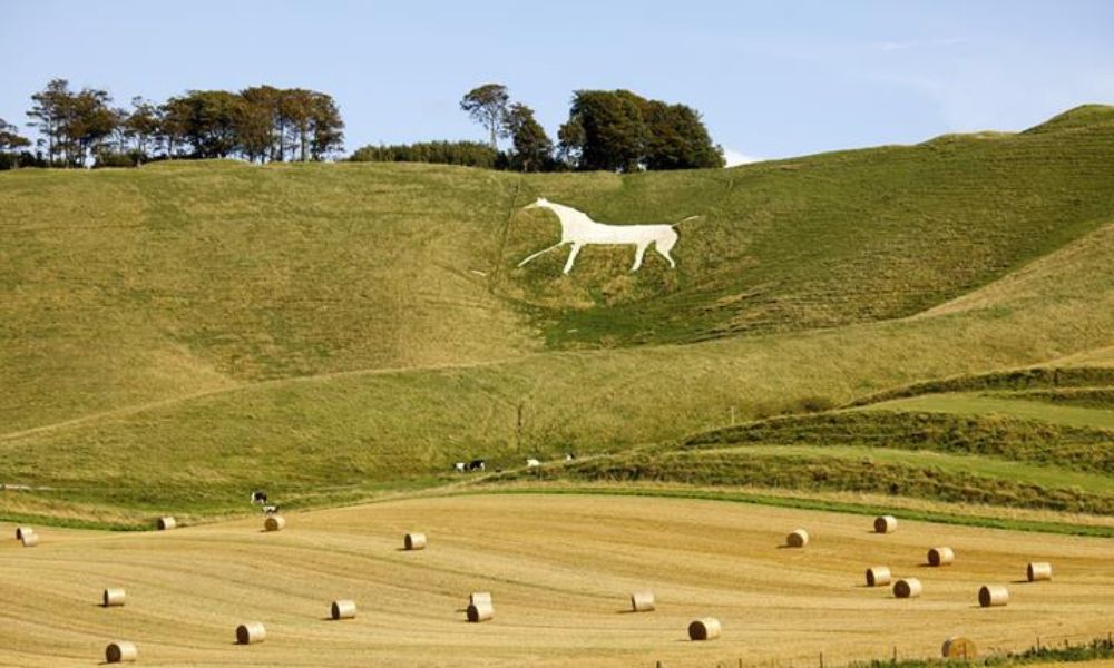 White horse trail