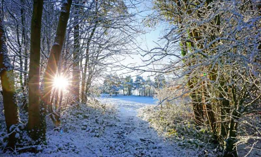 Stunning winter scenery in the Cotswolds