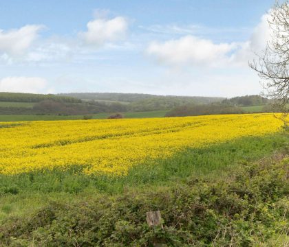 Slade Stables Views - StayCotswold