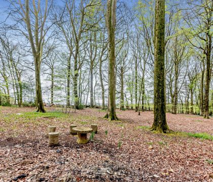 Keepers Stable Woodland - StayCotswold