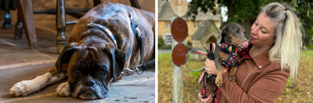 luxury dog friendly accommodation cotswolds