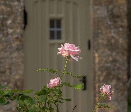 Rose Tree Cottage Views - StayCotswold