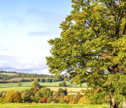 Stow-on-the-Wold - StayCotswold