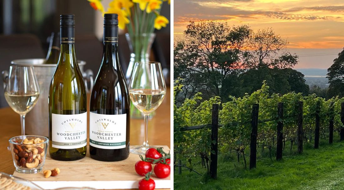 Wine Tasting Setup and views over the vineyard at Woodchester Valley, Perfect for Romantic Cotswold Breaks