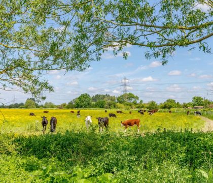 Honey Cottage Countryside - StayCotswold