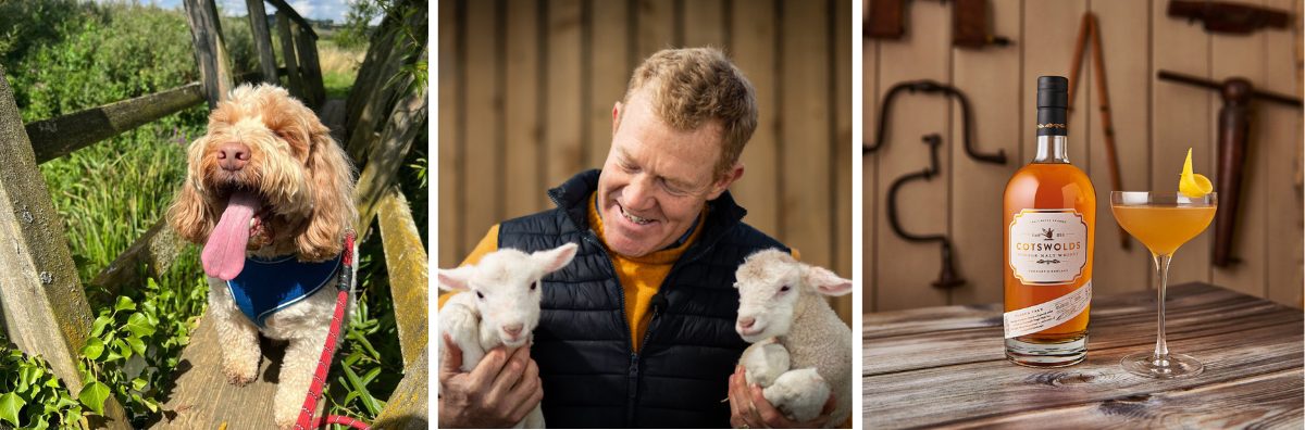 One image of a dog, one of Adam Henson and one of a bottle of gin