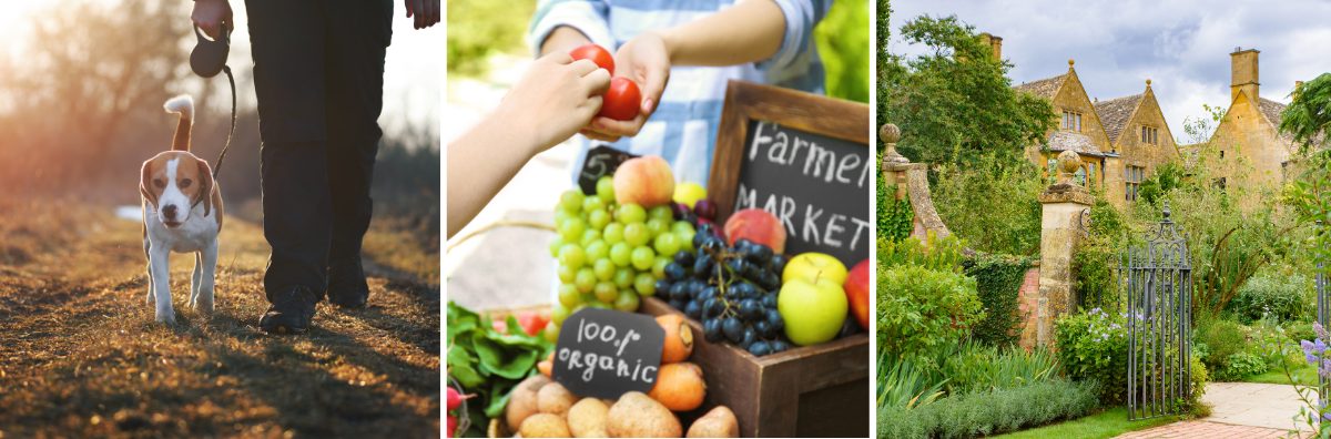 Three images of a dog walk, farmers market and country home and garden