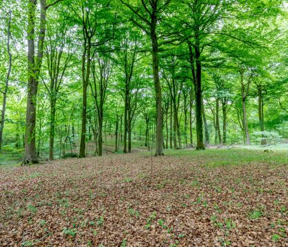 Keepers Lodge Woodland - StayCotswold
