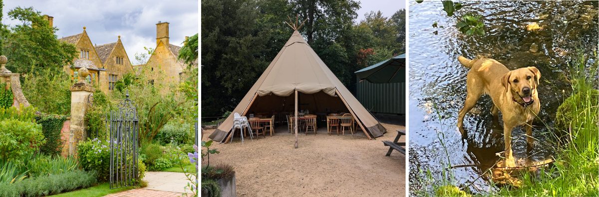 A cottage, a tepee and a dog in a river