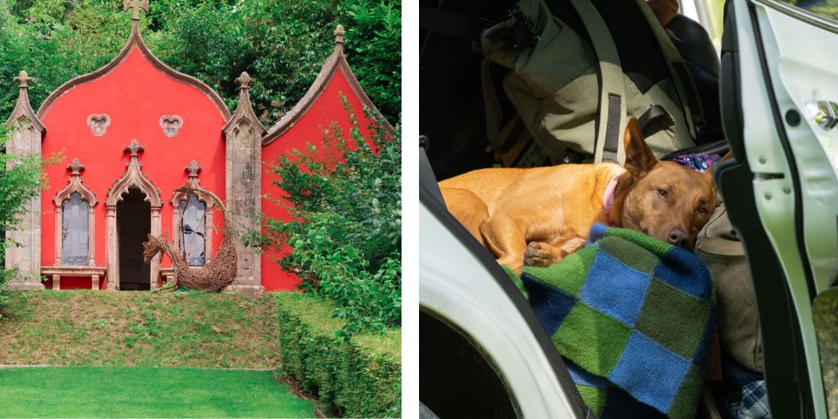 Perfect Getaways: Short Breaks with Dogs in the UK
