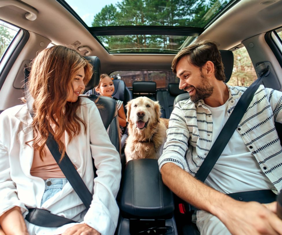 Man and woman couple in the car on a short break with dogs