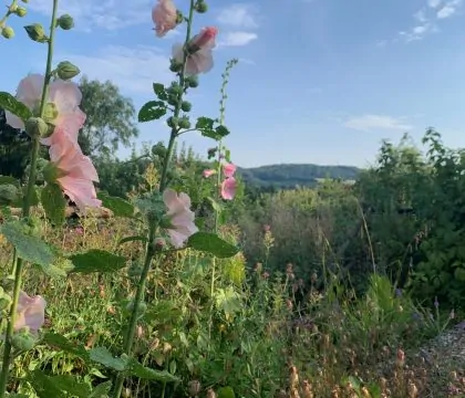 Pyatt's Pad - StayCotswold