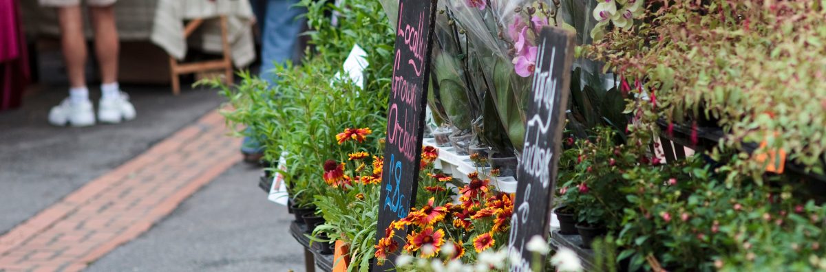 Farmers market in Stroud
