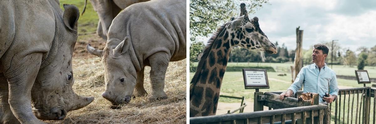 cotswold wildlife park