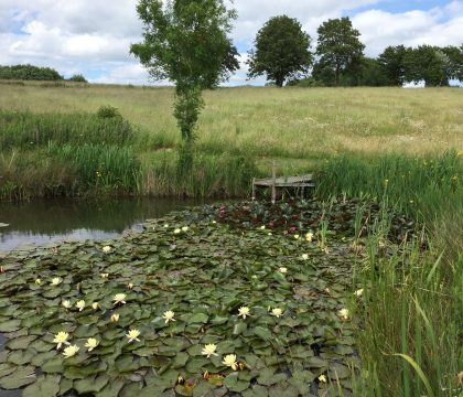 The Old Workshop View - StayCotswold