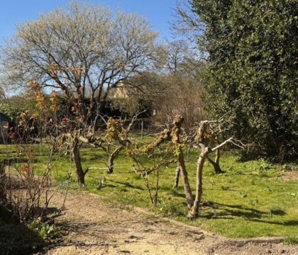 Orchard House at Broadwell Orchard