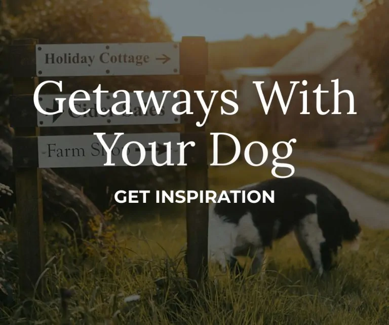 Dog Friendly Holidays in the Cotswolds