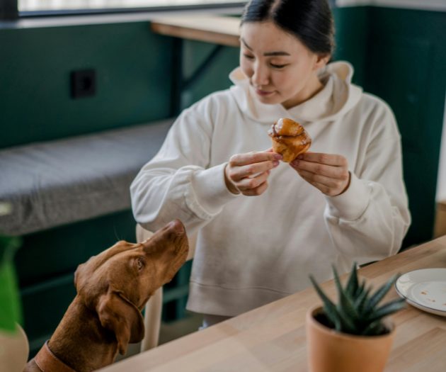 Young lady sits with her dog at a cafe