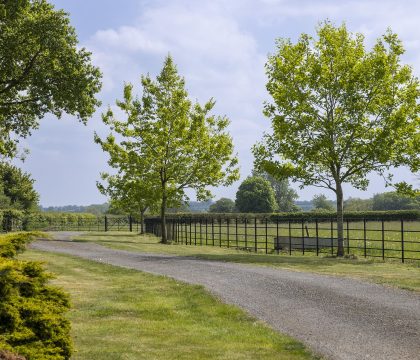 Coleman's Elm - StayCotswold