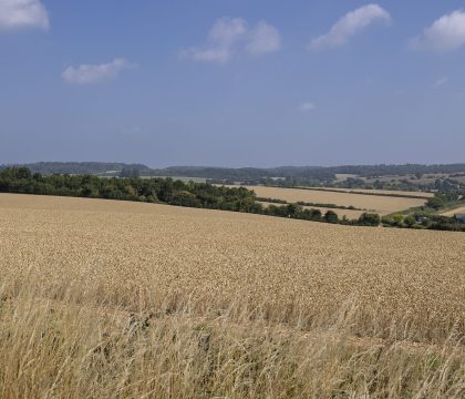 The Mews at Sturt Farm - StayCotswold