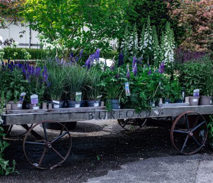 Burford Garden Centre - StayCotswold