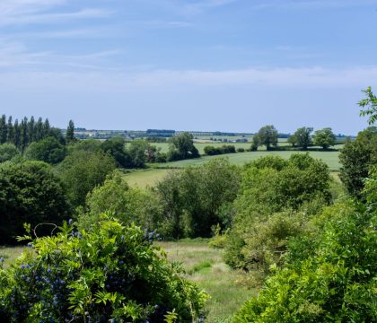 The Snug Garden - StayCotswold