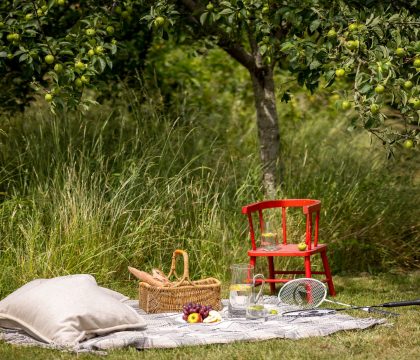 Apple Tree Cottage, Daglingworth garden - Stay Cotswold