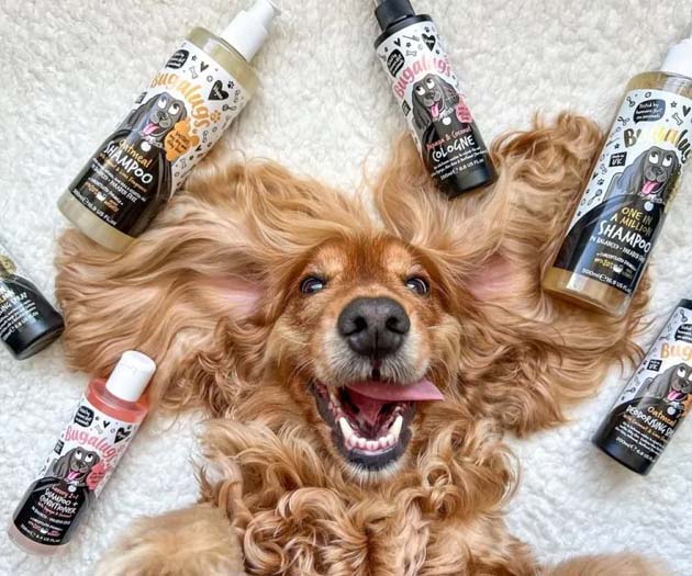 10% Off Bugalugs Pet Care for StayCotswold Guests