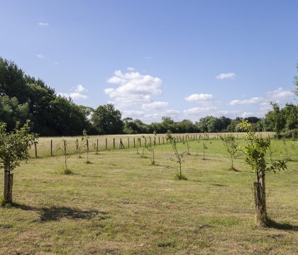 Green Farm Outside - StayCotswold