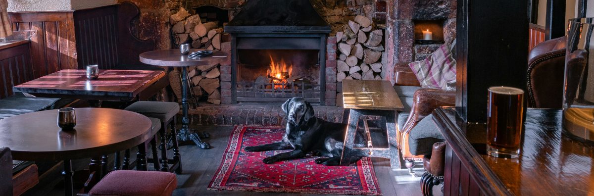 dog laid on floor in front of fire in cosy cotswold pub