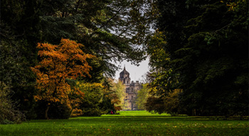 Visit an Arboretum