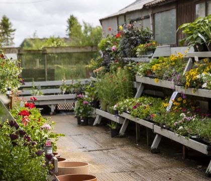 Bisley Farm Shop - StayCotswold