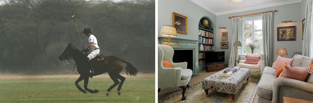 Horse playing polo with a lovely countryside room