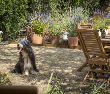 Gable Cottage - StayCotswold Garden