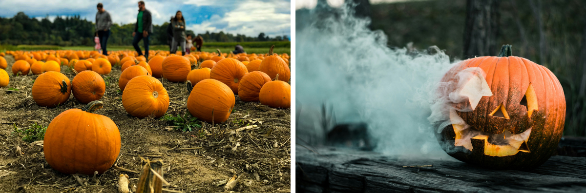 Things To Do During October Half-Term in the Cotswolds Things To Do During October Half-Term in the Cotswolds